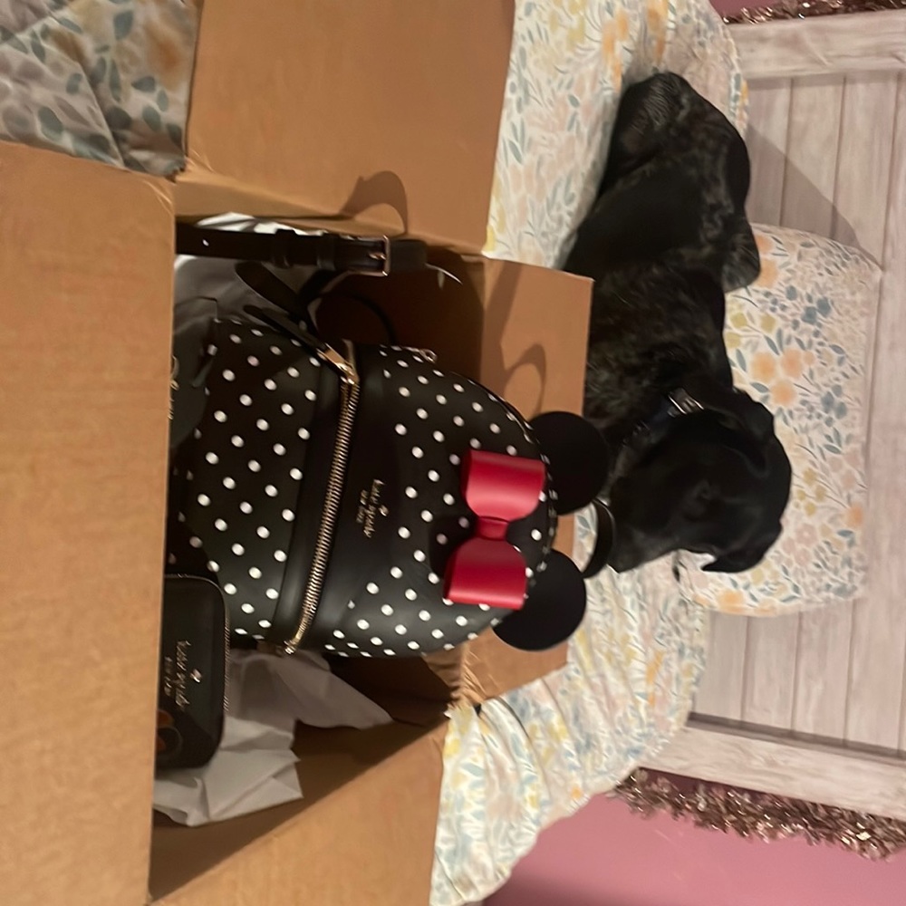 Minnie Mouse x Kate spade x Disney backpack